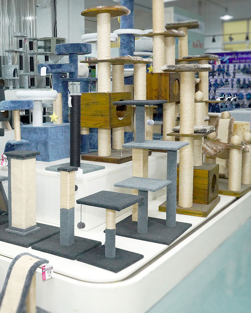 About Us Hangzhou Rena Pet Products Co., Ltd.