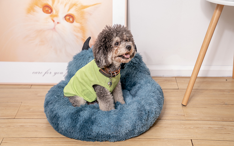 Hangzhou Rena Pet Products Co., Ltd.