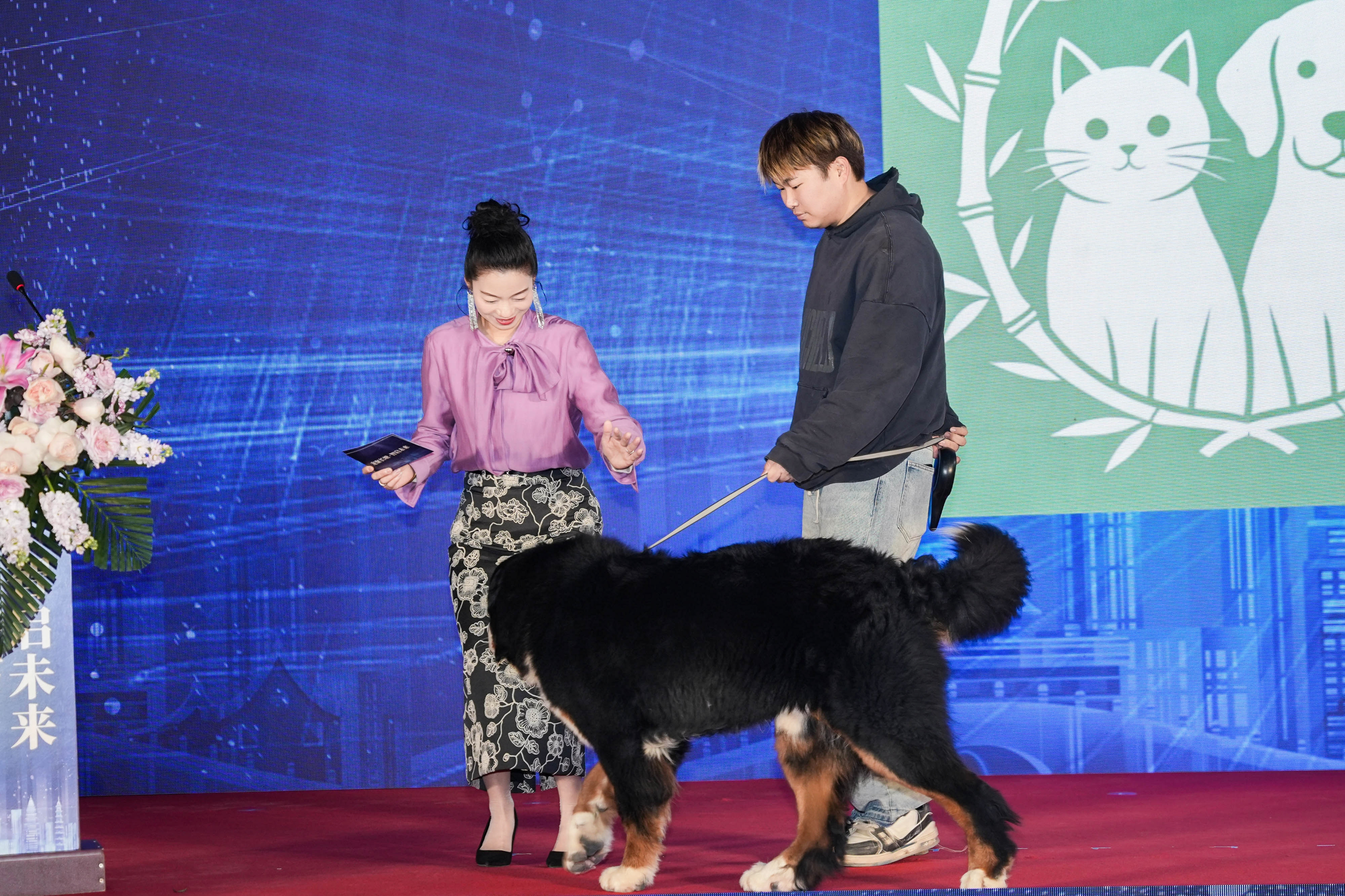 DSC07917-opq4418244012